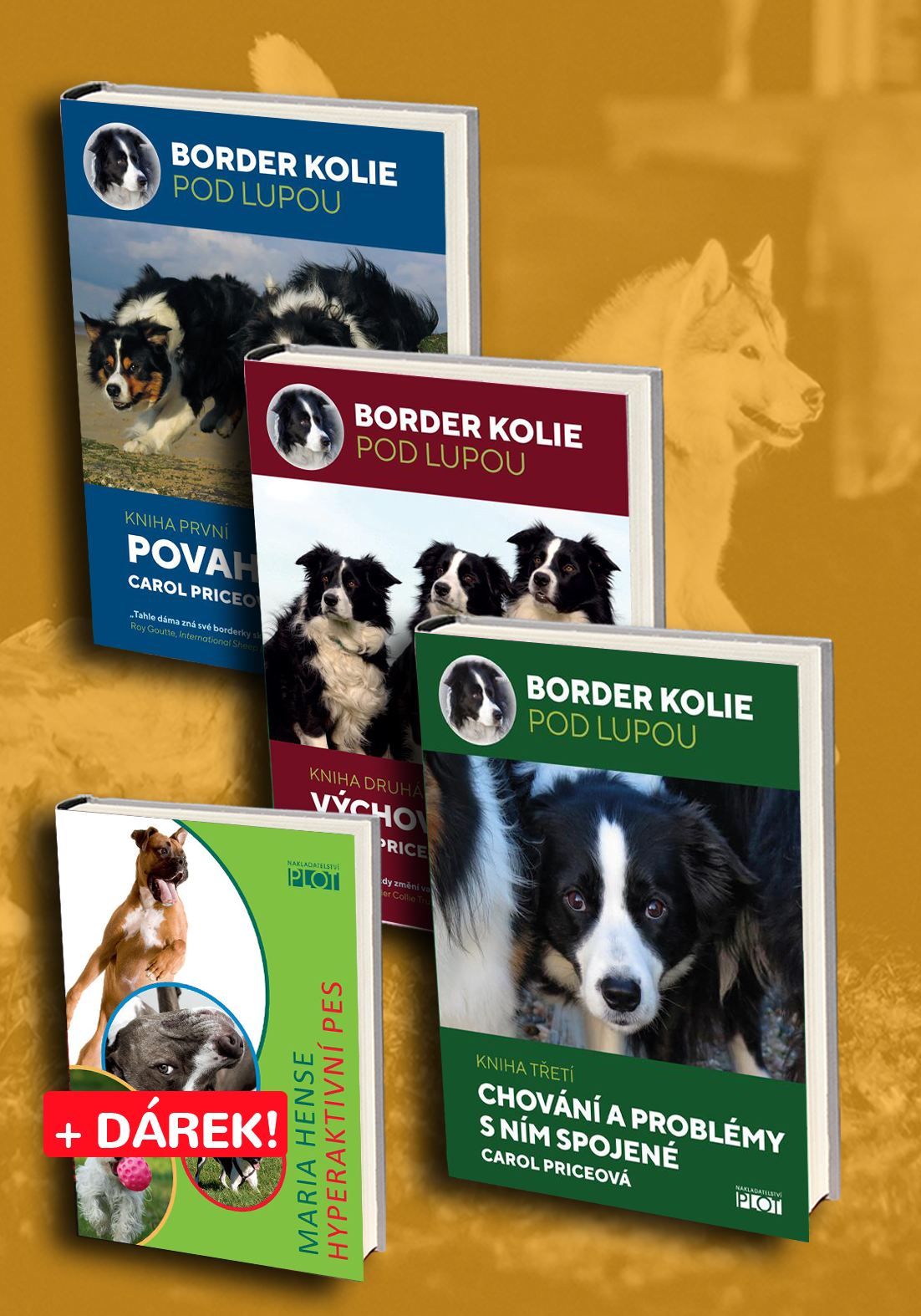 komplet border kolie